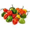 Habanero
